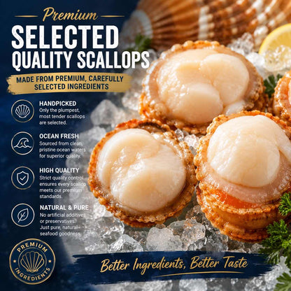 Premium Garlic Butter Scallops - Ocean Fresh Ready-to-Eat Seafood -WH